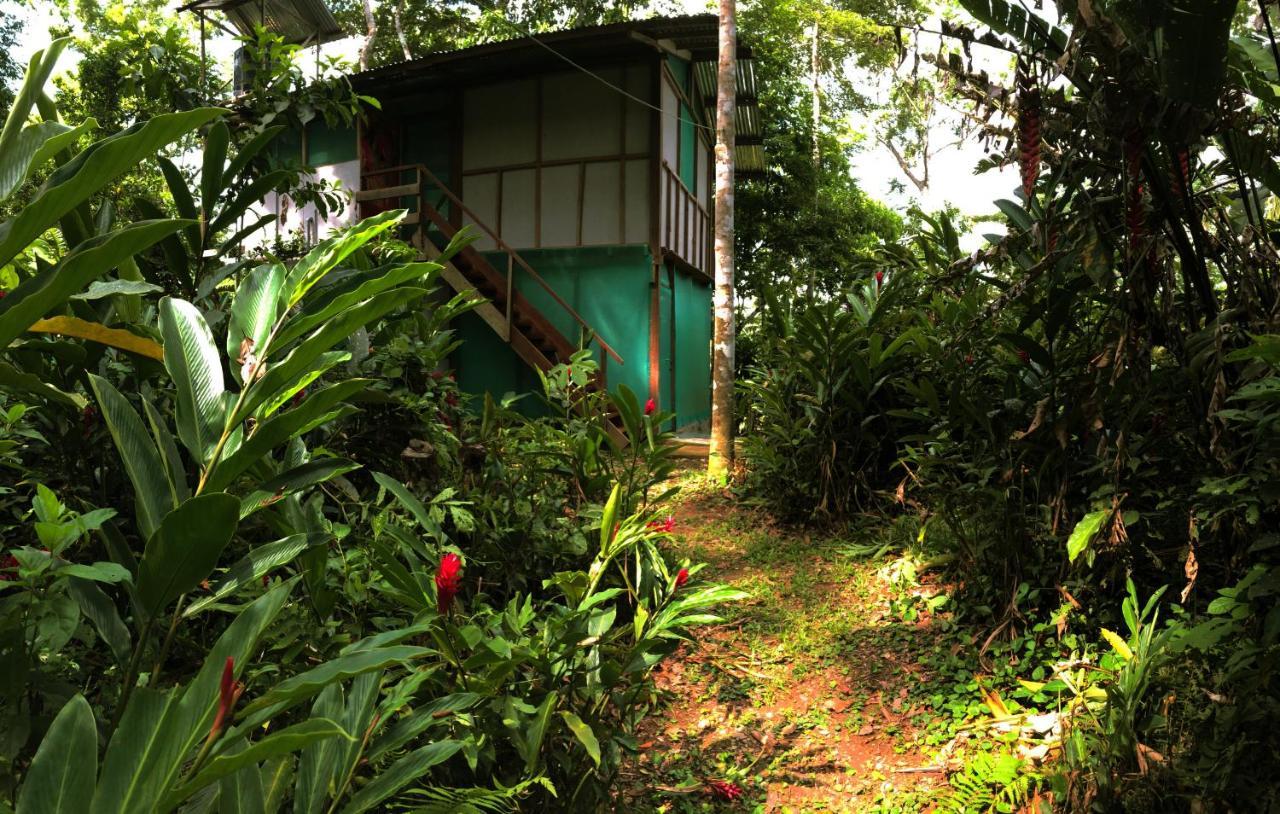 K'erenda Homet Reserva Natural Puerto Maldonado Eksteriør bilde