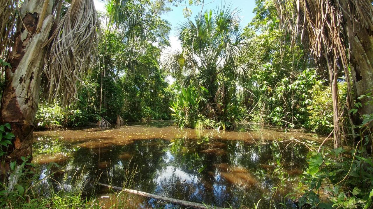 K'erenda Homet Reserva Natural Puerto Maldonado Eksteriør bilde